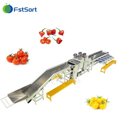 Fstsort High Quality Cherry Pepper Processing Machine Masini Fua Fualaau Fa'ailoga